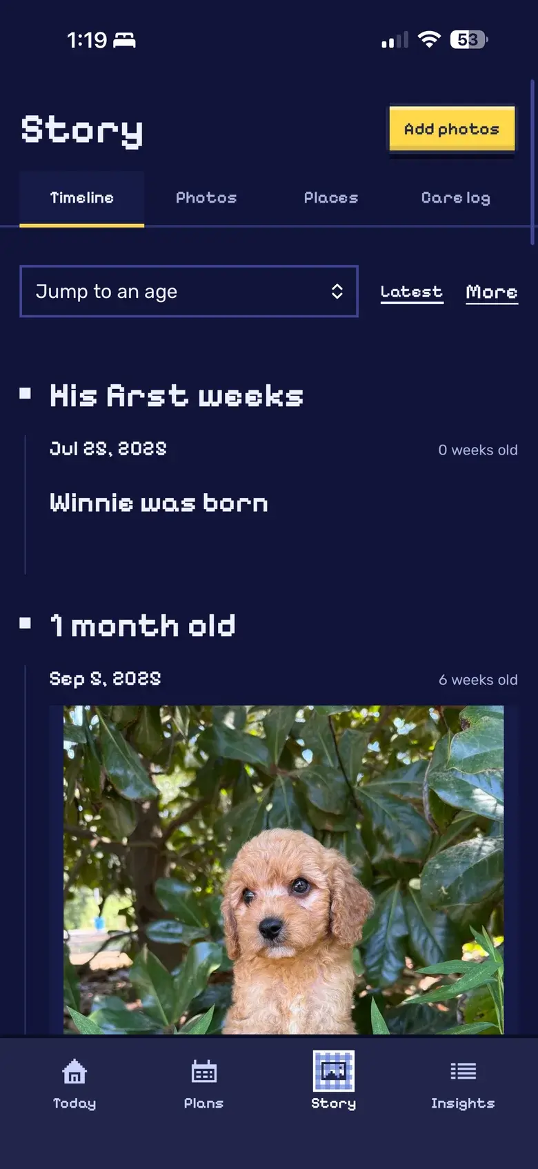 Winnie's Story timeline: his birth on July 25, 2025, then a photo of him at six weeks old among leaves.